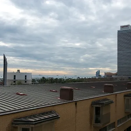 Alcam Olimpica Barcelona